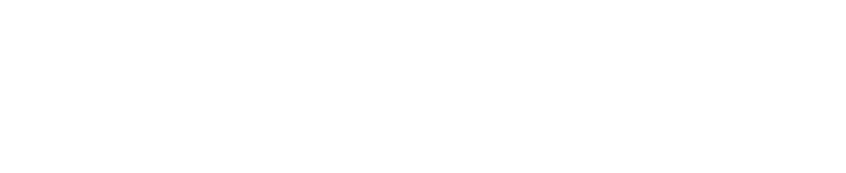 Audi Rallye quattro A2