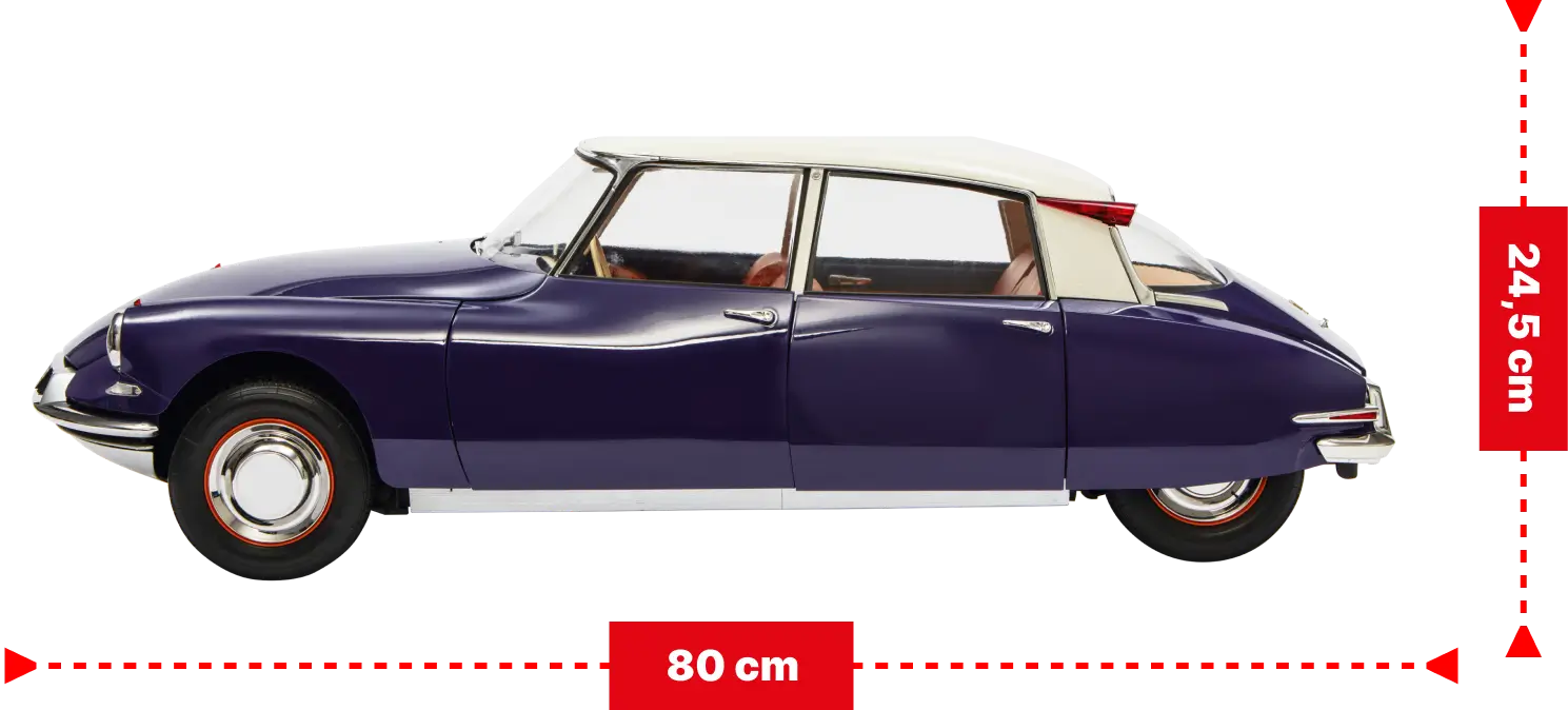 Kurioses zur DS 19